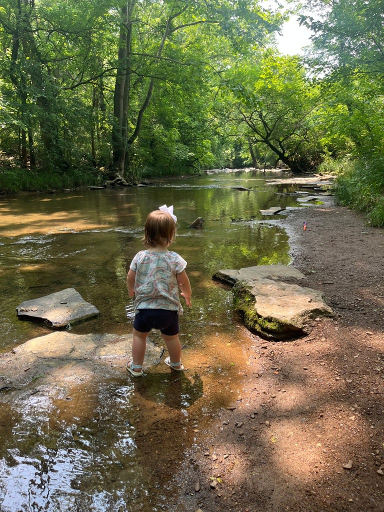 Child playing near the creek at Chickasaw Trace Park in Columbia Tennessee with water, rocks, and trees in the background.