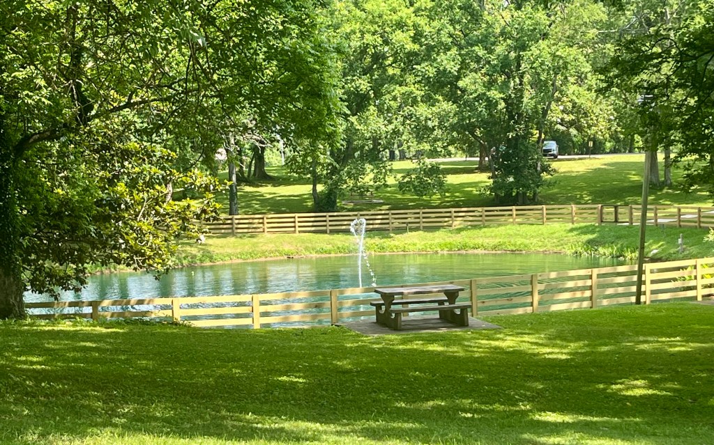 Pond area at Woodland Park in Columbia Tennessee with a fence, trees, and picnic table near the water.