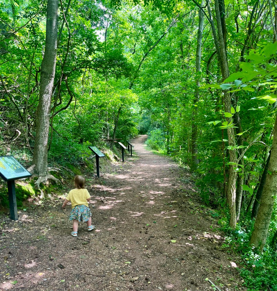Child walking along the Storybook Trail at Maury County Park in Columbia Tennessee with trees on both sides and story signs along the path.