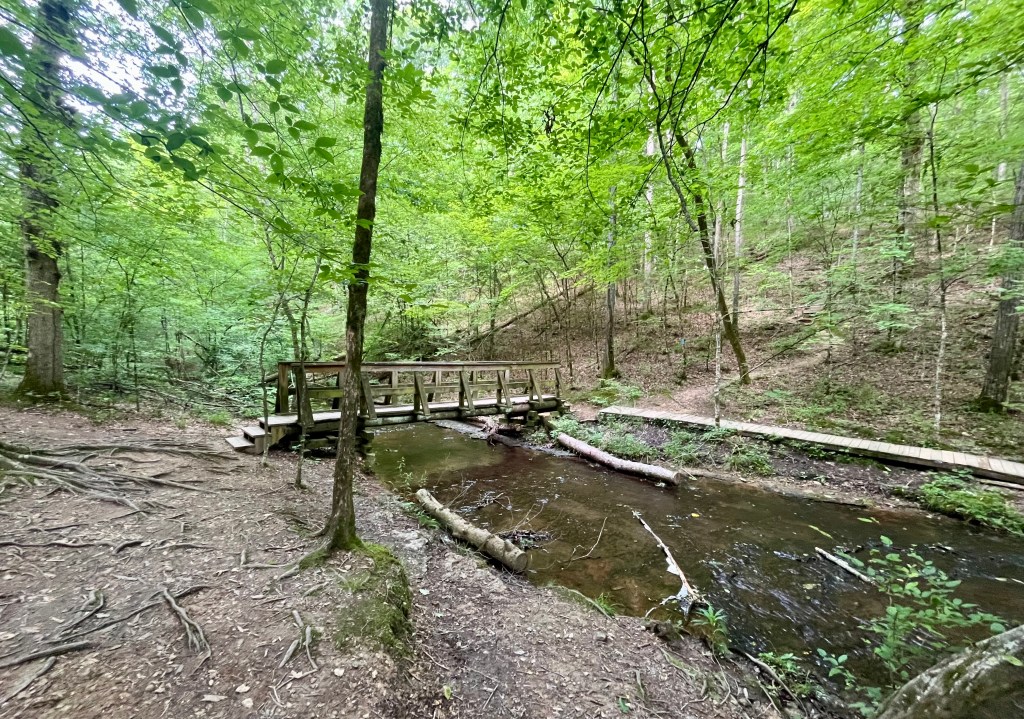 Wooden footbridge along the Stillhouse Hollow Falls trail in Mount Pleasant Tennessee with trees and a small stream below.