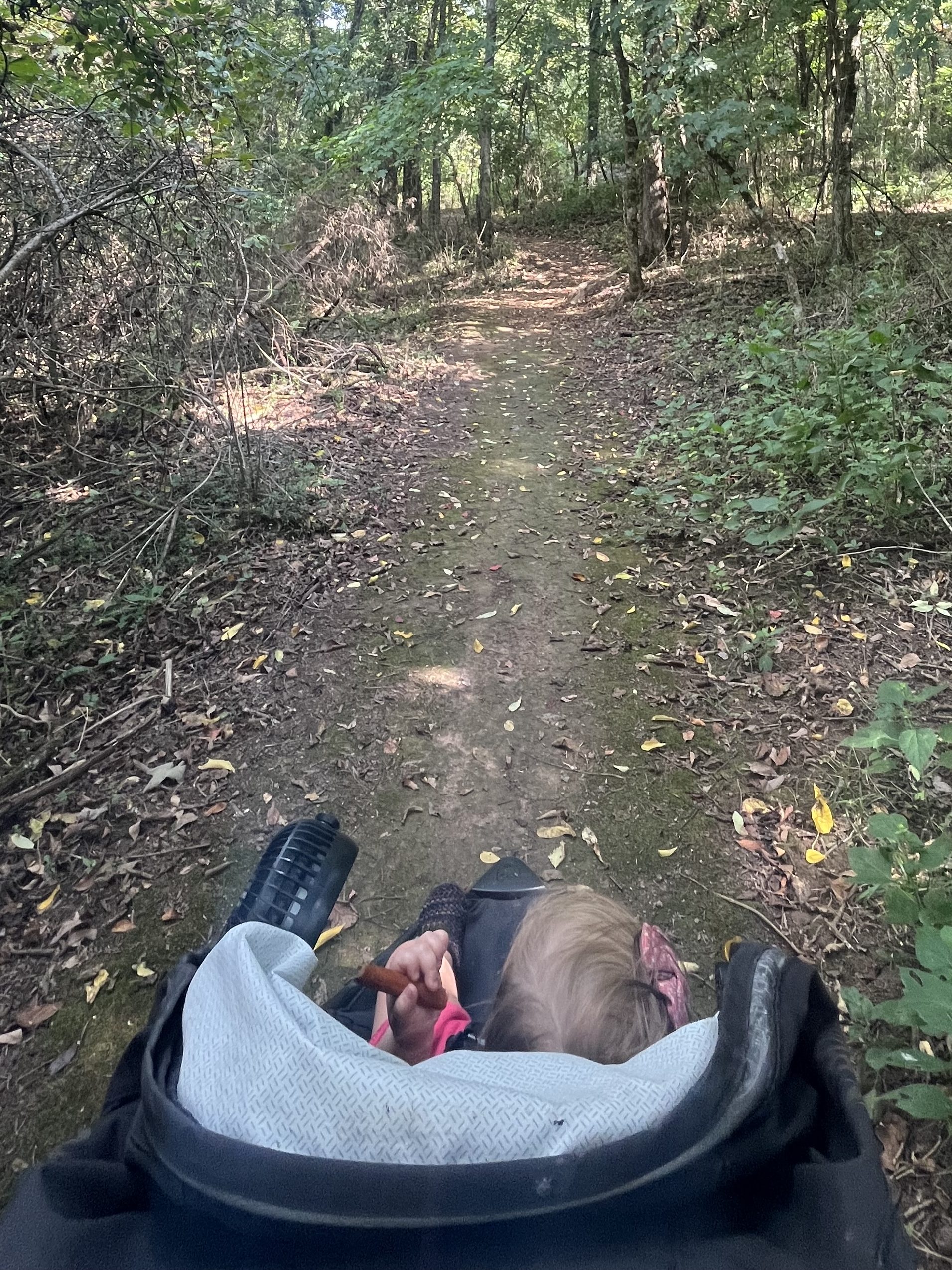 View from a jogging stroller on the Greenbriar Trail at Woodland Park in Columbia Tennessee showing a natural dirt path surrounded by trees and greenery.